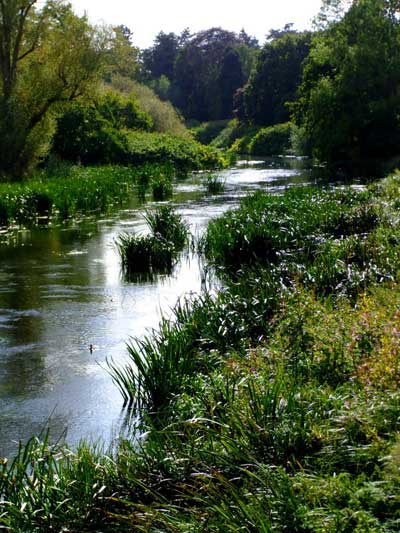 Avon-River-view