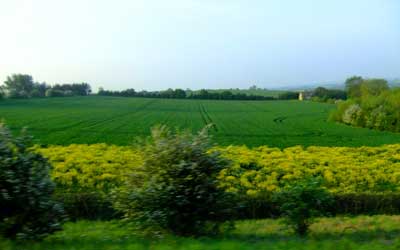 Morning-countryside-toward-London