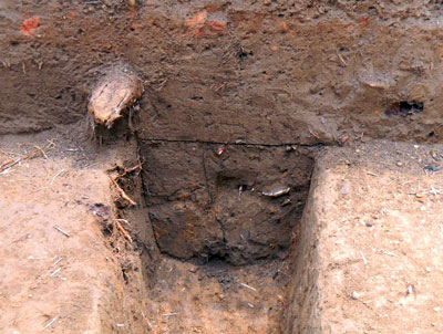 Profile view of a paling mold at the end of an excavated fence segment.