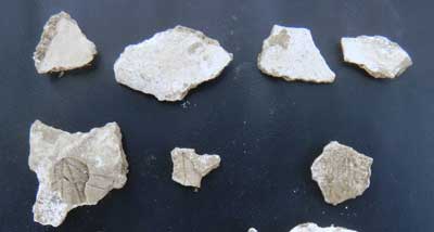 Examples of plaster from the cellar.