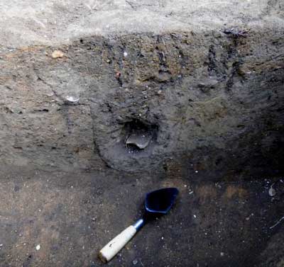 Profile of fence in sewer trench showing North Devon Gravel Tempered sherd.