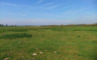 Port-Meadow-looking-North