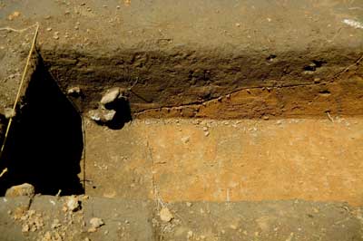 Profile of the eroded wall of the covered cellar, as seen in the wall of the fence trench.