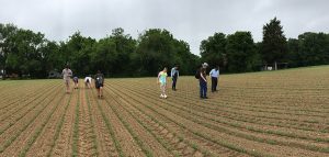 Field school team searching for artifacts on the surface of a recently plowed field