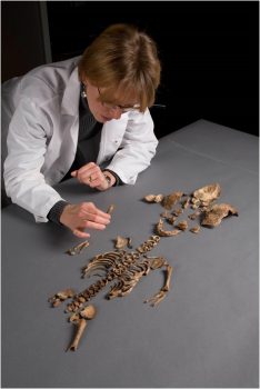 Forensic Scientist Kari Bruwelheide examining the remains of the Calvert Baby (Courtesy: Chip Clark, Smithsonian Institution)