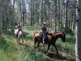 Greenwell State Park shows horseback riding