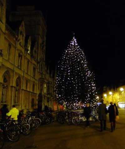 street-tree-at-night