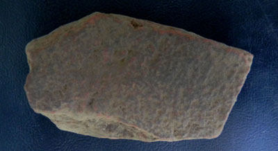 Fragment of a roofing tile.